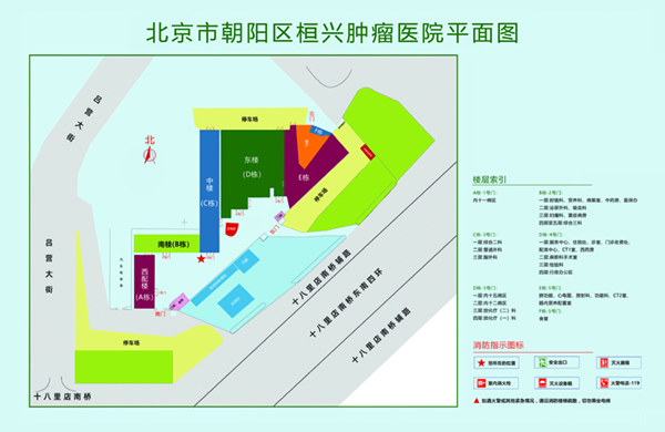 就想日逼色站北京市朝阳区桓兴肿瘤医院平面图